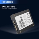 Hikvision 256GB Internal Laptop Hard Disk - HS-SSD-E100/256G