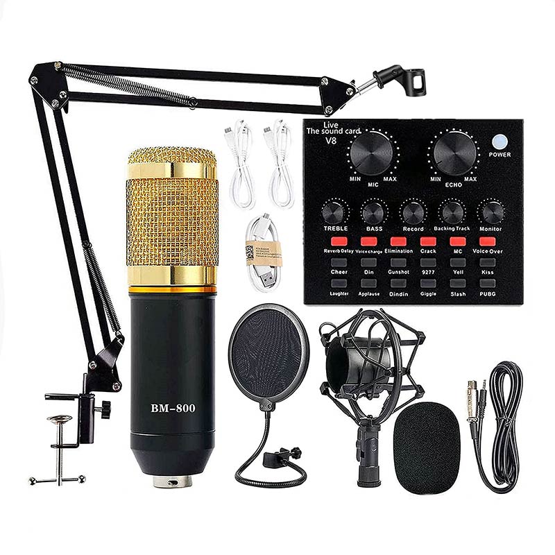 BM 800 Microphone