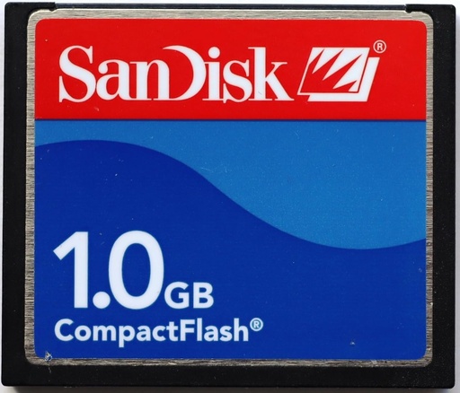 SanDisk 1GB CompactFlash Card
